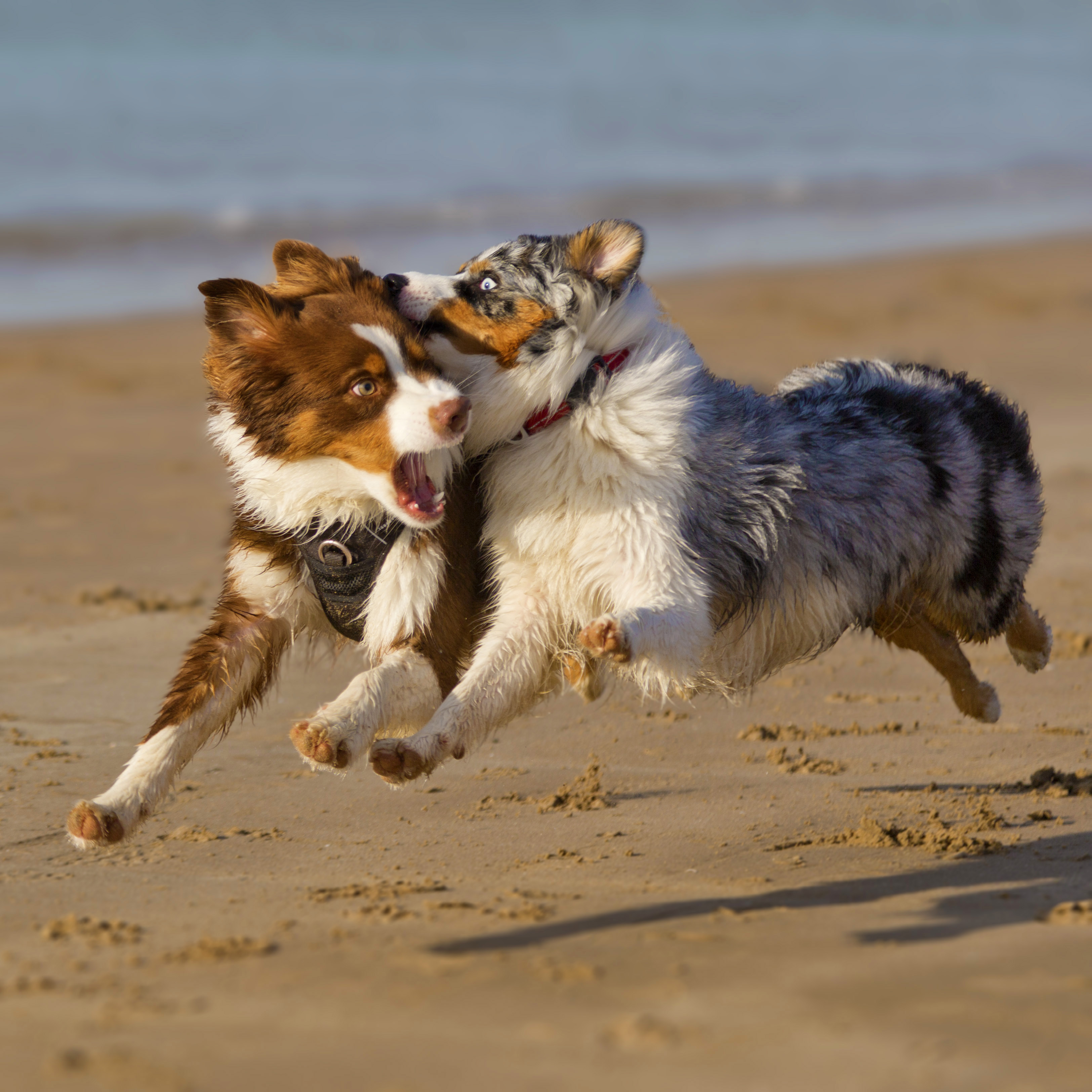 3249 x 3249wall_d3056a7e32bb1dfb454ec869637703b5.jpg